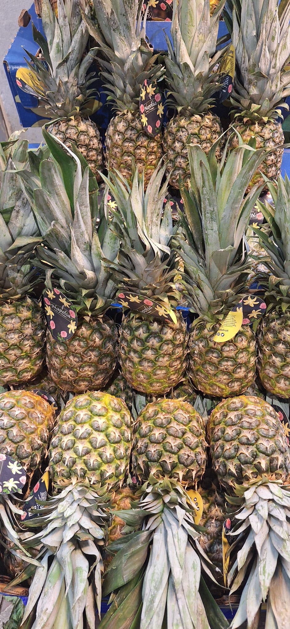 Ananas